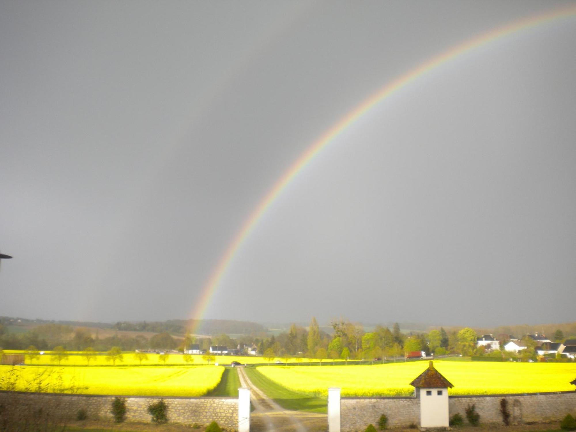 Domaine De La Maison Neuve Saint-Jean-Saint-Germain Exteriör bild