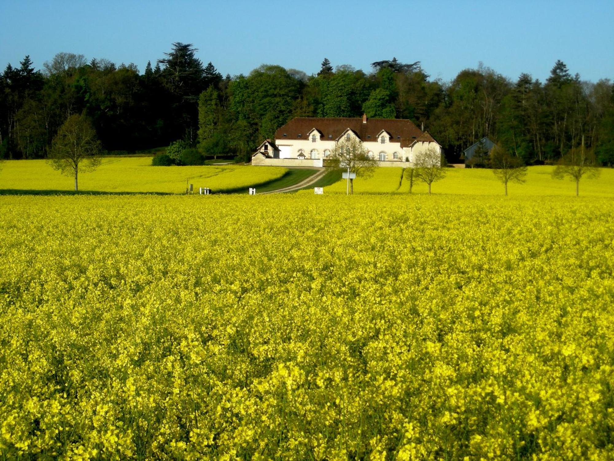 Domaine De La Maison Neuve Saint-Jean-Saint-Germain Exteriör bild