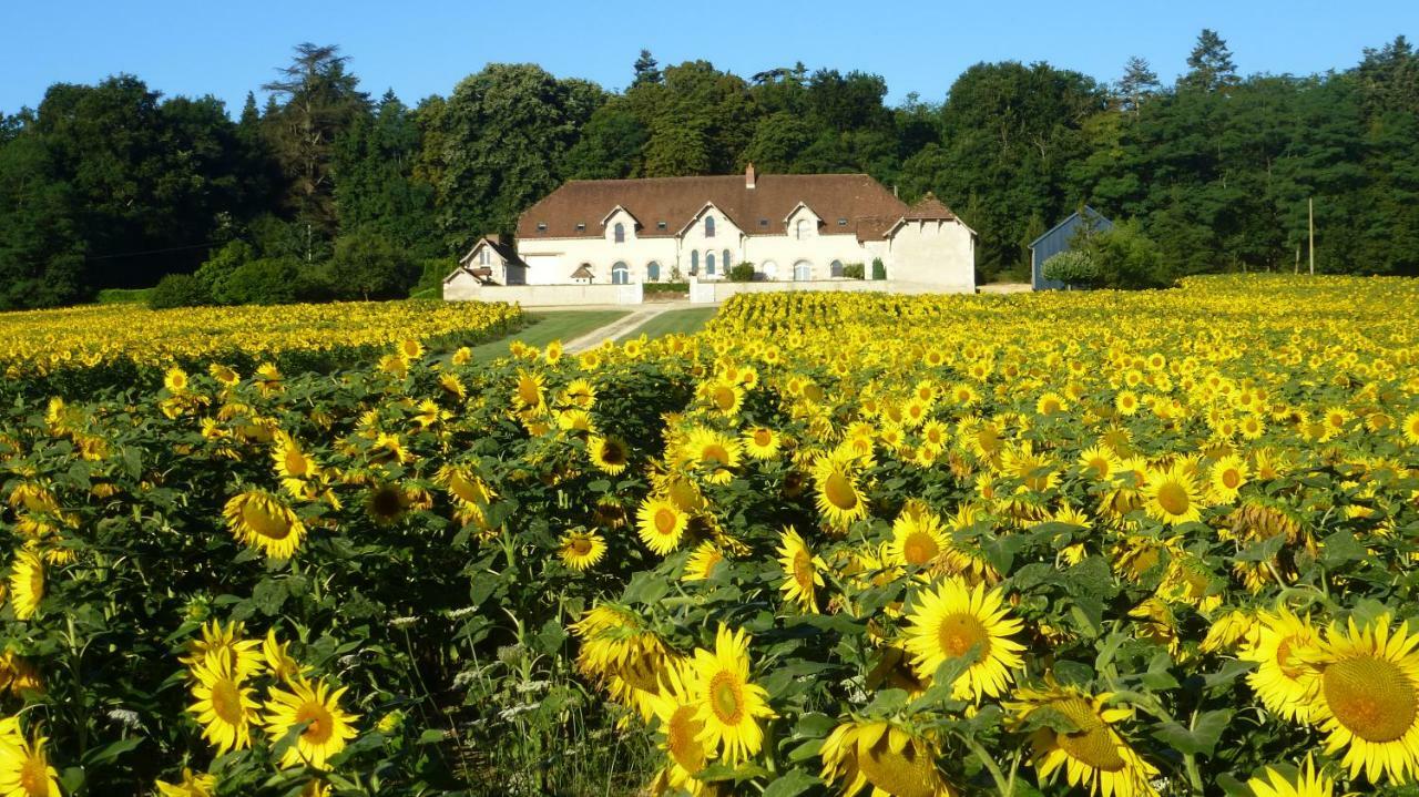 Domaine De La Maison Neuve Saint-Jean-Saint-Germain Exteriör bild