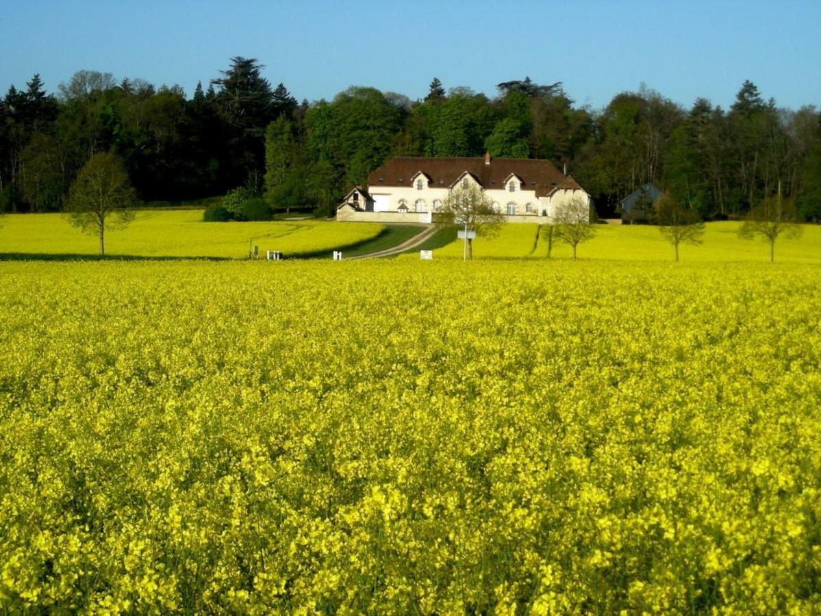 Domaine De La Maison Neuve Saint-Jean-Saint-Germain Exteriör bild