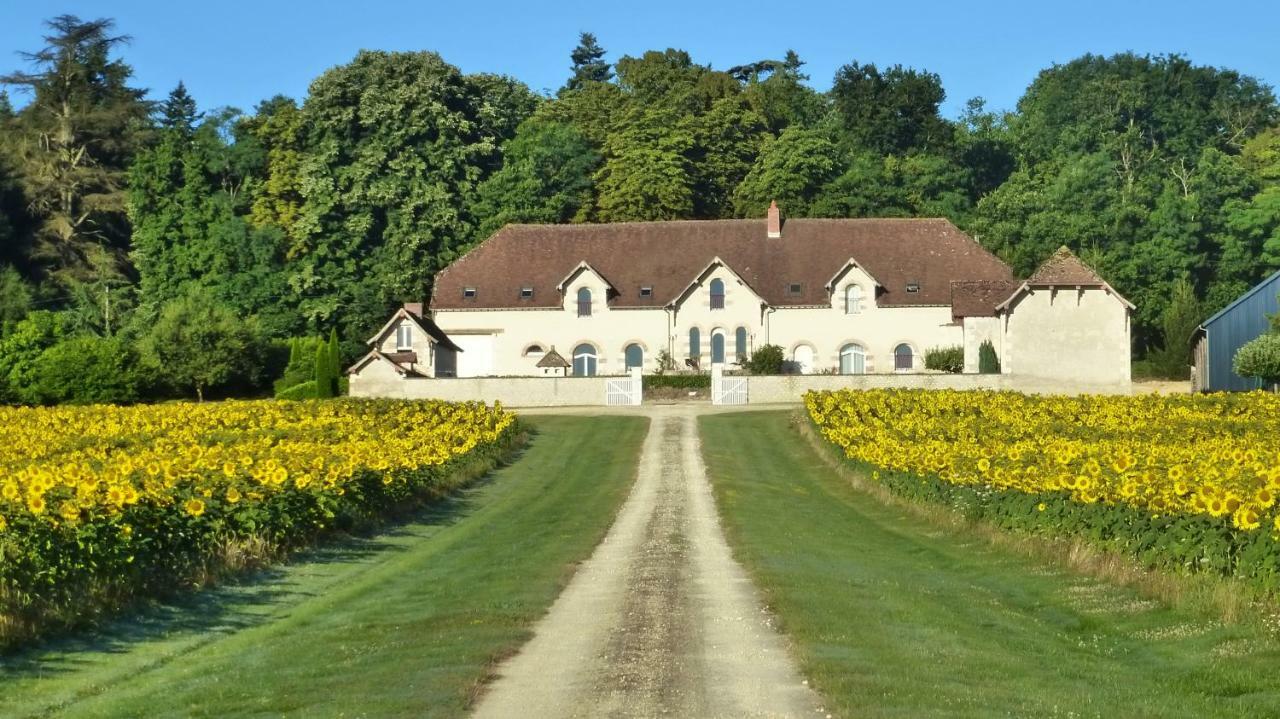 Domaine De La Maison Neuve Saint-Jean-Saint-Germain Exteriör bild